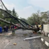 Ilustrasi pohon tumbang menghalangi akses jalan di Kota Bandung, beberapa waktu lalu. (Nizar/Jabar Ekspres)