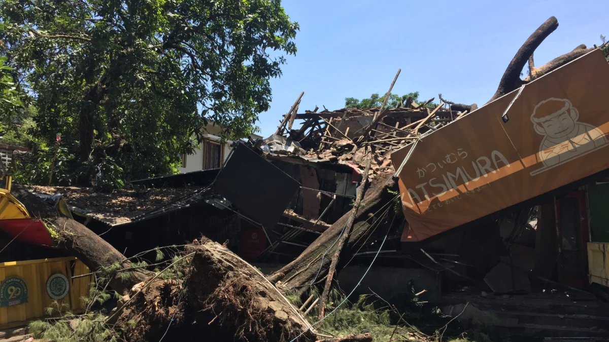 Kondisi terkini pohon pinus yang tumbang menimpa dua rumah makan di Bandung, Selasa (17/9/24). (Shavira/Jabar Ekspres)