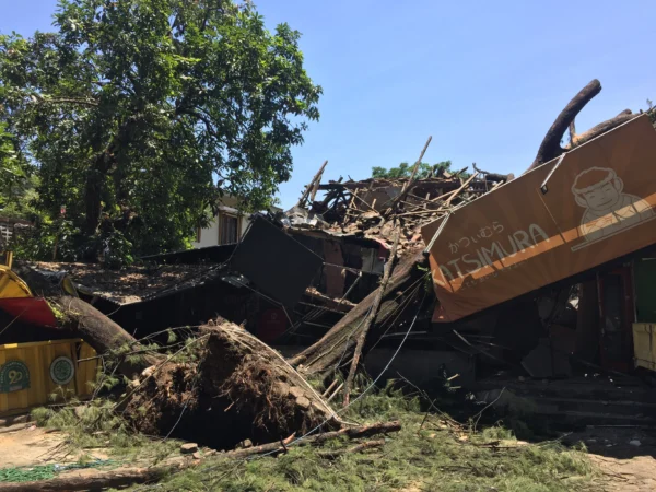 Kondisi terkini pohon pinus yang tumbang menimpa dua rumah makan di Bandung, Selasa (17/9/24). (Shavira/Jabar Ekspres)