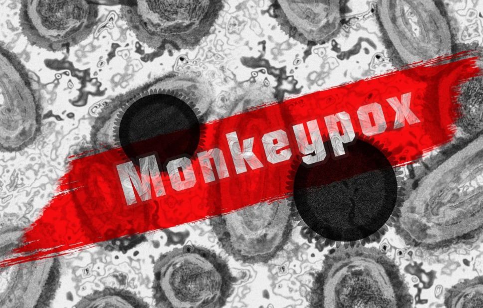 Ilustrasi waspada cacar monyet atau Monkeypox. Dok (pixabay)