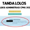 Tanda Lolos Seleksi Administrasi CPNS 2024/ Tangkap Layar Buku Petunjuk Pendaftaran CASN 2024