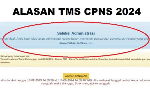 Penyebab Tidak Lolos CPNS atau TMS tahun 2024/ Tangkap Layar Bukti Petunjuk Pendaftaran CASN 2024