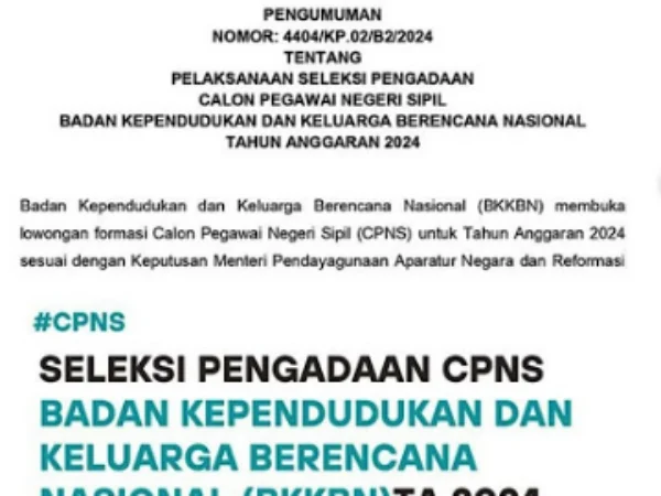 Rincian Lowongan CPNS BKKBN 2024 Ini Sepi Peminat Tersedia 1.206 Formasi