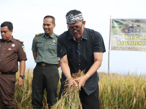 Kabupaten Purwakarta Buat Program Khusus untuk Antisipasi Kekurangan Pangan Akibat Kemarau Panjang 