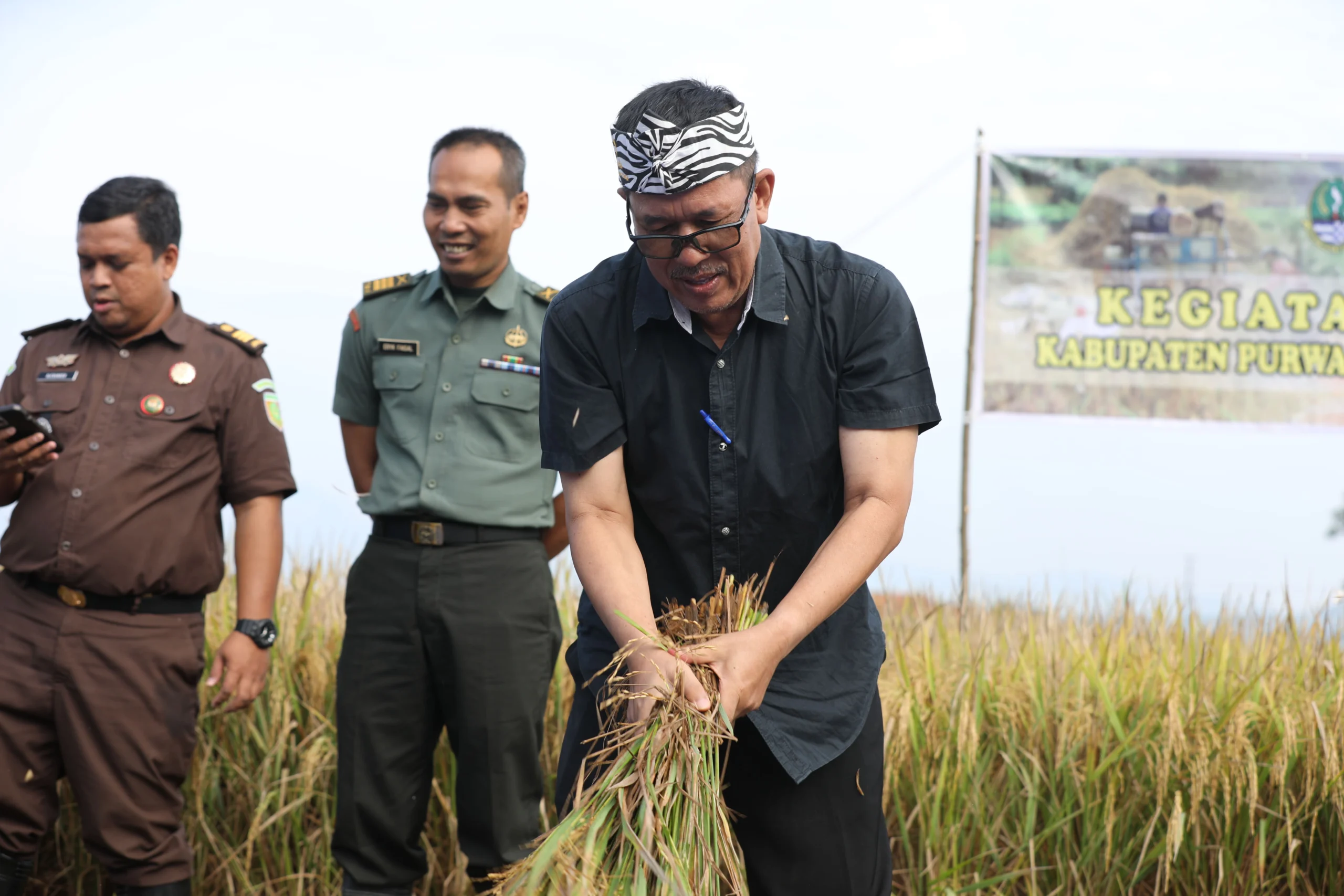 Kabupaten Purwakarta Buat Program Khusus untuk Antisipasi Kekurangan Pangan Akibat Kemarau Panjang 