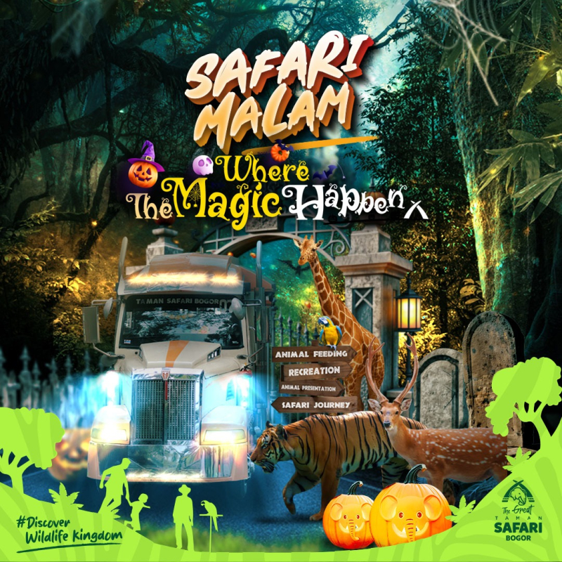 Nikmati Keseruan dan Uji Adrenalinmu di Safari Malam Edisi Spesial Halloween 2024!