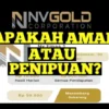 NV Gold Aplikasi Penghasil Uang, Apakah Terbukti Aman atau Penipuan Berkedok Investasi?