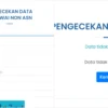 Cek Terdata sebagai Non ASN/ Kolase helpdesk-sscasn.bkn.go.id