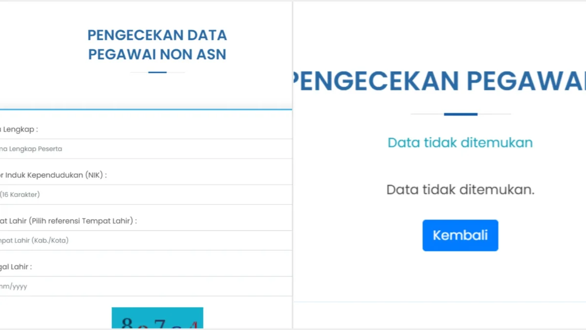 Cek Terdata sebagai Non ASN/ Kolase helpdesk-sscasn.bkn.go.id