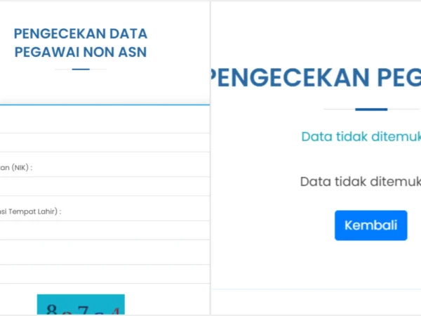 Cek Terdata sebagai Non ASN/ Kolase helpdesk-sscasn.bkn.go.id