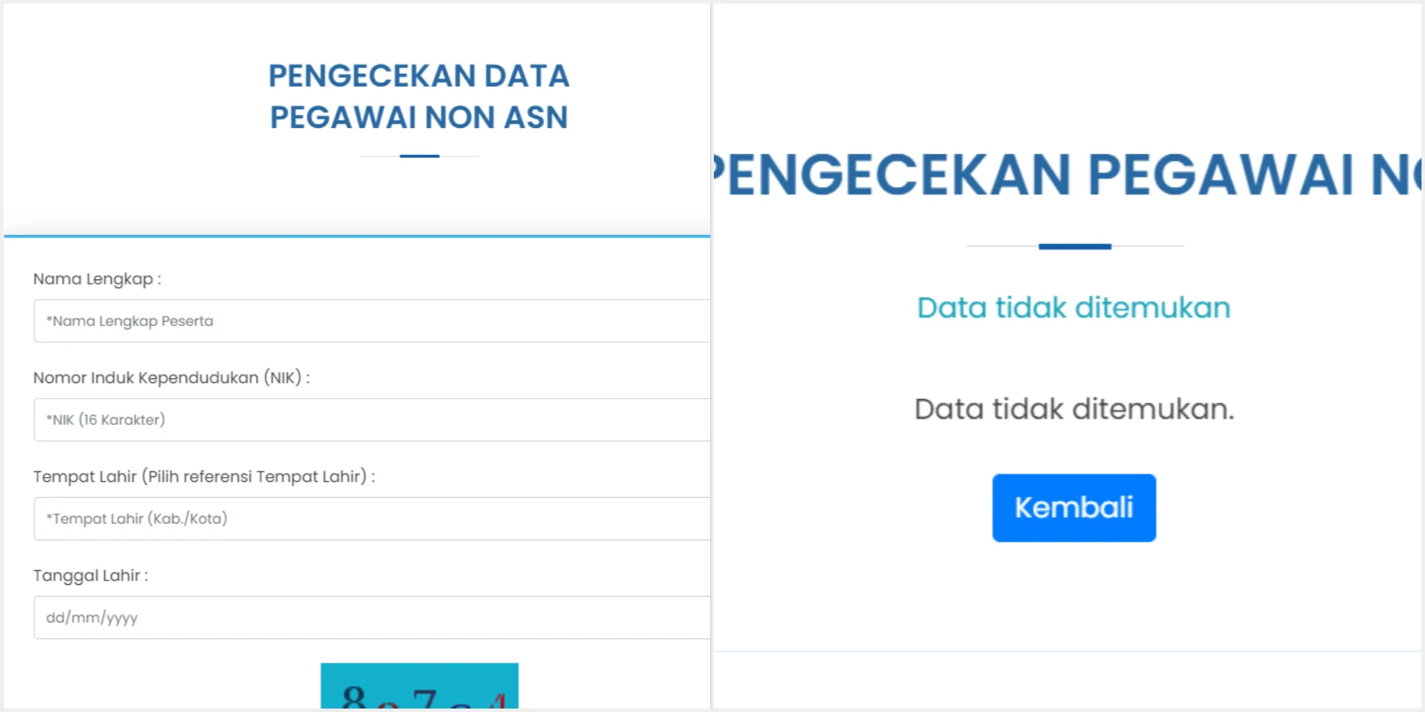 Cek Terdata sebagai Non ASN/ Kolase helpdesk-sscasn.bkn.go.id