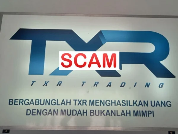 Kabar TXR Trading Scam Hari ini, Banyak Member Tidak Bisa Tarik Uang, Leader Kabur?