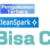 Apakah Pencairan Aplikasi CleanSpark Hari Ini Sudah Lancar?