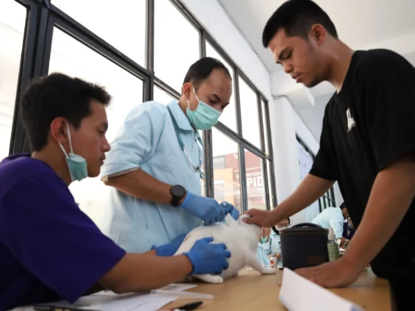 Doc. Antisipasi Penyebaran Rabies pada Hewan Melalui Vaksinasi Gratis oleh Dispangtan Cimahi (mong)