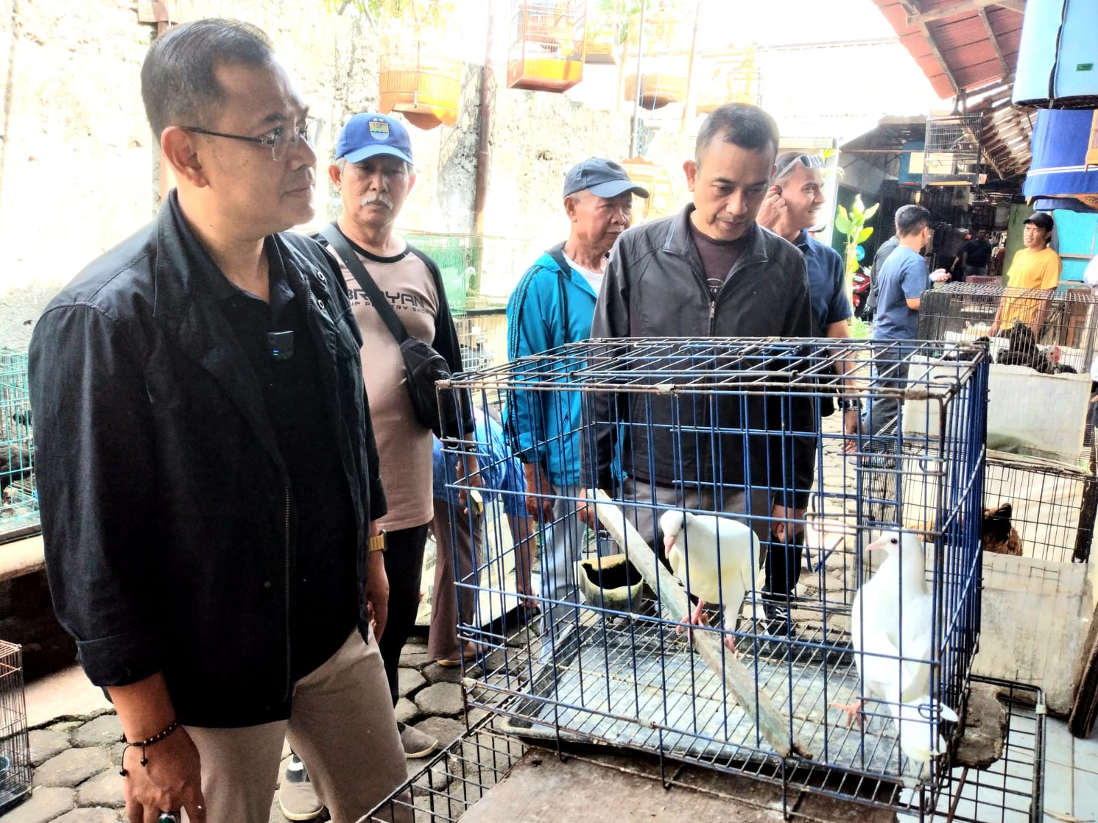 Calon Wali Kota Bandung Arfi Rafnialdi saat blusukan di Pasar Burung Sukahaji, Kamis (3/10)