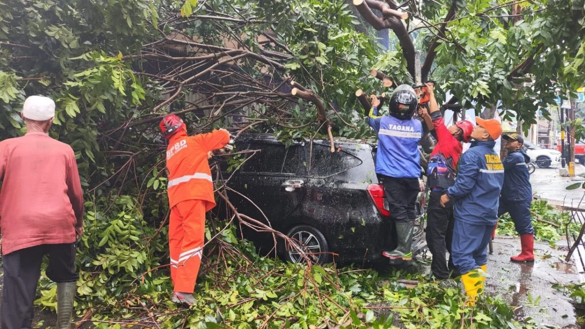 Doc. Pohon Besar Tumbang Timpa Mobil, Imbas dari Hujan Deras Disertai Angin Kencang di Kota Cimahi (mong)