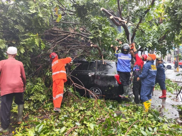 Doc. Pohon Besar Tumbang Timpa Mobil, Imbas dari Hujan Deras Disertai Angin Kencang di Kota Cimahi (mong)