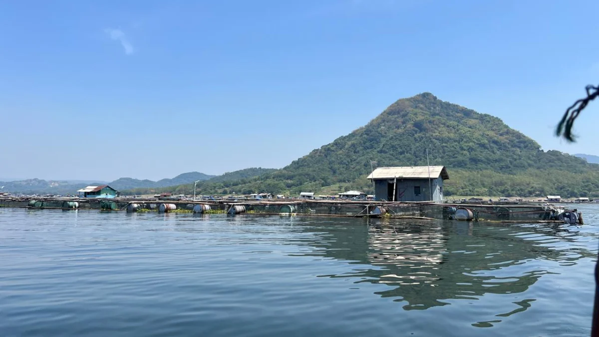 Produksi Ikan Melimpah, Pemkab Purwakarta Buat Program Gemar Makan Ikan untuk Cegah Stunting