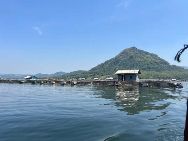 Produksi Ikan Melimpah, Pemkab Purwakarta Buat Program Gemar Makan Ikan untuk Cegah Stunting