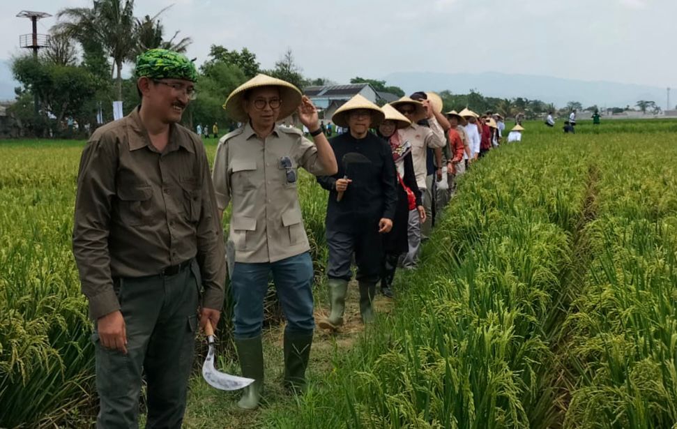 Fadli Zon saat menghadiri kegiatan panen raya di Kampung Ciherang, Desa Kiangroke, Banjaran, Kabupaten Bandung, Rabu (9/10). Foto Agi