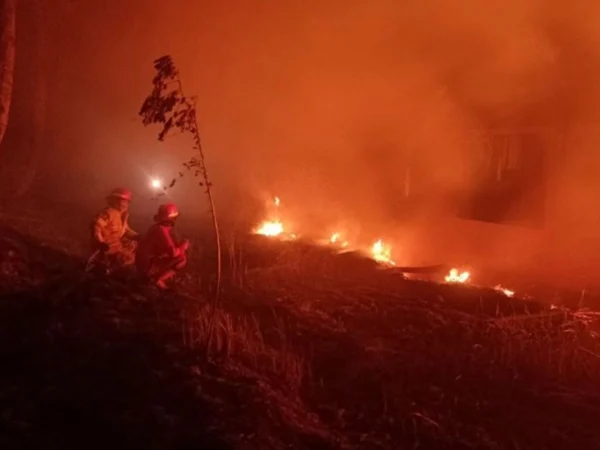 Petugas Damkar Bandung Barat saat memadamkan api yang membakar alang-alang. Dok Damkar KBB