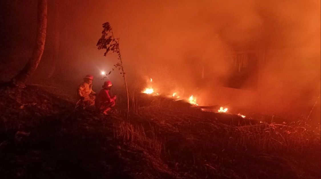 Petugas Damkar Bandung Barat saat memadamkan api yang membakar alang-alang. Dok Damkar KBB