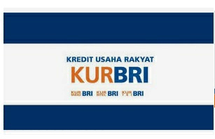 KUR di Bank BRI membantu UMKM