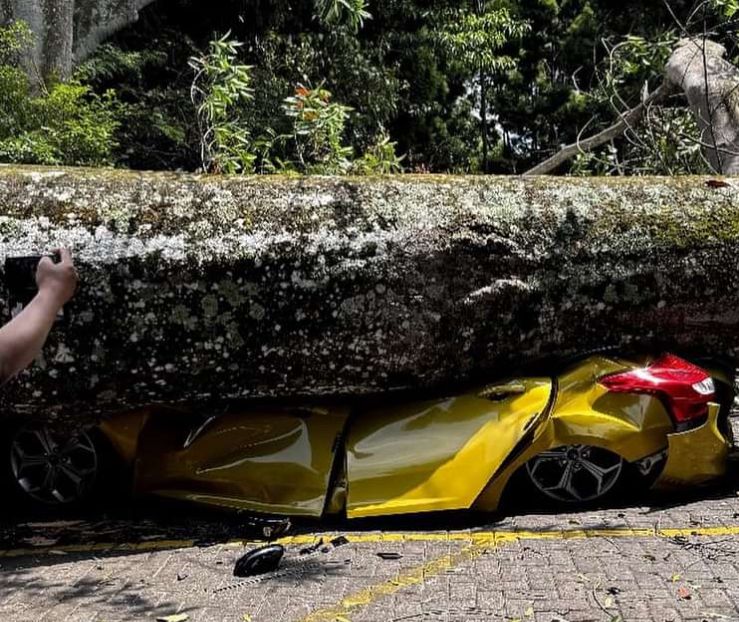 Sejumlah mobil tertimpa pohon tumbang di objek wisata Farmhouse Lembang, Bandung Barat. Minggu (27/10). Dok media sosial Facebook (Majalah Otomotif Online)