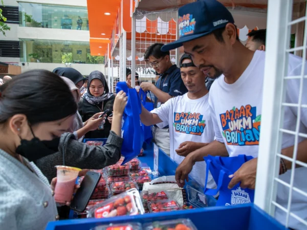 Bisnis Stroberi dengan Pemberdayaan BRI