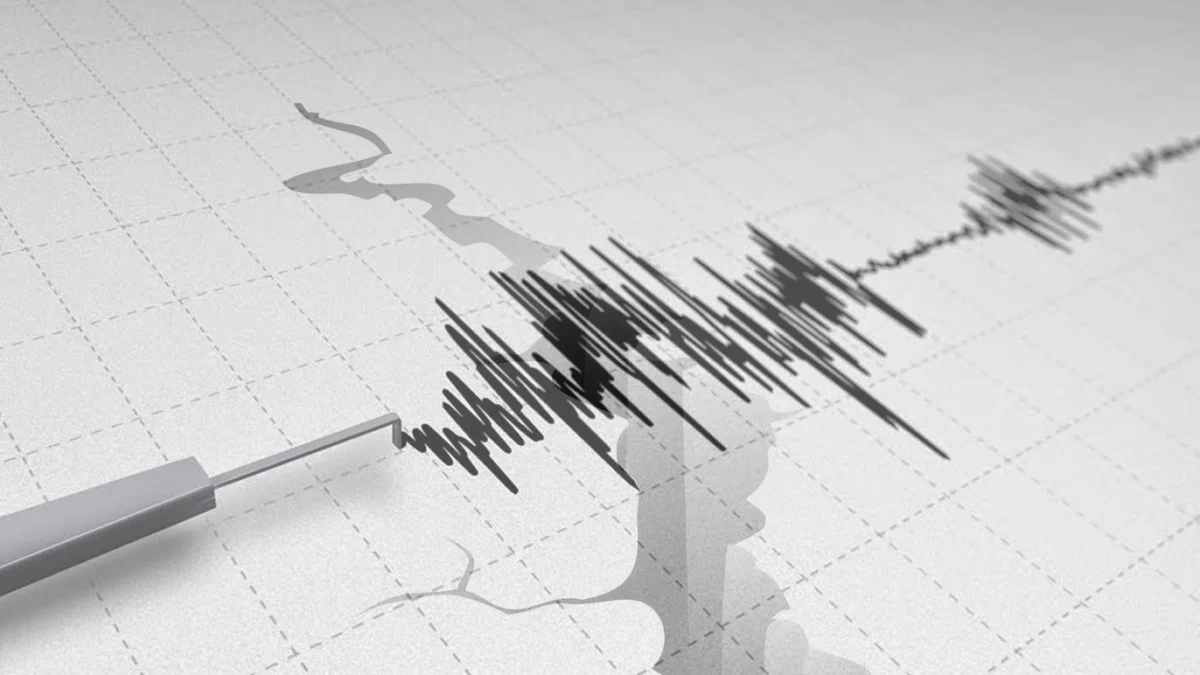 Ilustrasi radar gempa bumi/Istimewa