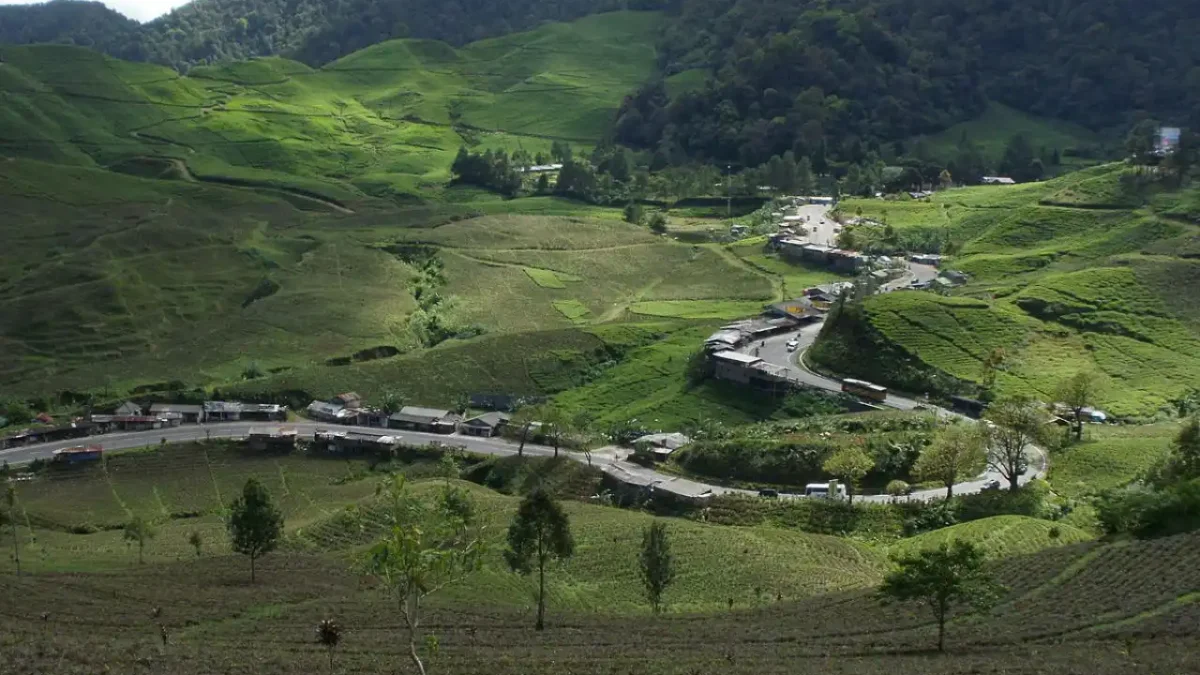 12 Destinasi Wisata di Puncak Bogor Terbaru dan Viral 2024 yang Wajib Dikunjungi