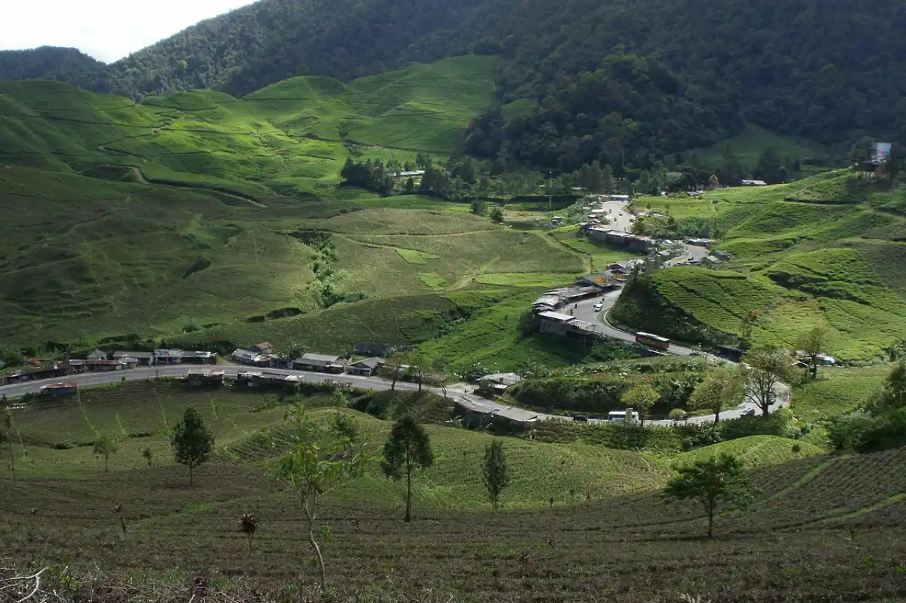 12 Destinasi Wisata di Puncak Bogor Terbaru dan Viral 2024 yang Wajib Dikunjungi