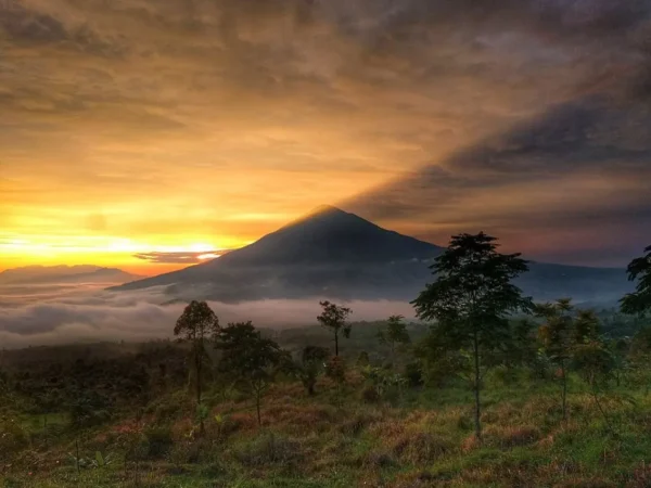 Mumpung Belum Musim Hujan! Inilah 10 Rekomendasi Gunung di Jawa Barat yang Cocok untuk Pendaki Pemula