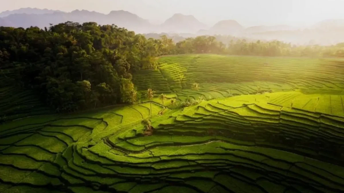 5 Rekomendasi Tempat Wisata Alam di Jawa Barat dengan Pemandangan yang Sangat Menakjubkan