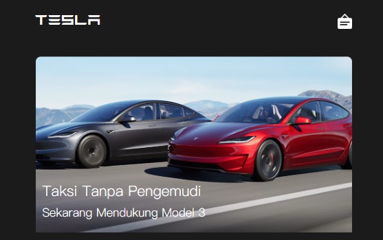 Aplikasi Robotaxi dari Tesla yang sedang digemari pecinta ponzi.