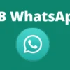 Download WA GB WhatsApp Tanpa Kadaluarsa, Anti Banned, Bisa Lihat Status Privasi Tanpa Diblokir