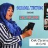 Ilustrasi dapat uang hanya dengan scroll tiktok dibayar Rp100.000.