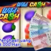 Aplikasi Penghasil Uang Wild Cash yang terbukti cepat membayar.