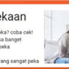 Link tes ujian kepekaan terbaru.