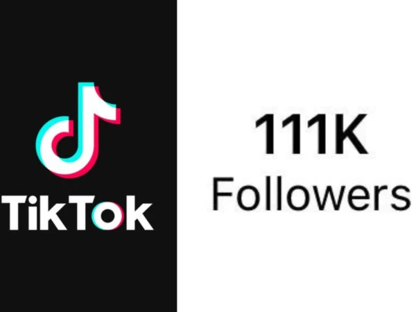 Apakah 12 November 2024 jadi hari penting di TikTok? Begini Fakta Terkini Tentang Tiktok akan hapus akun  untuk Followers di Bawah 600.