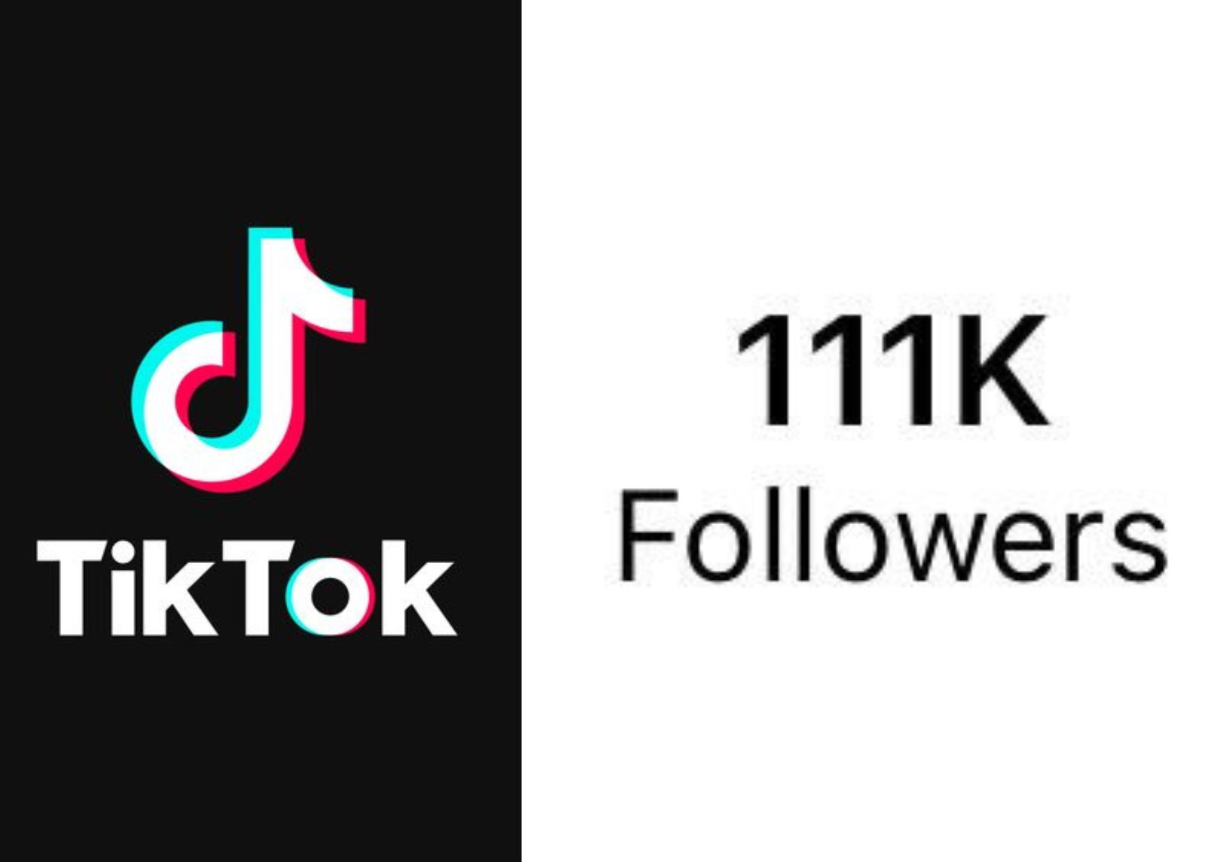 Apakah 12 November 2024 jadi hari penting di TikTok? Begini Fakta Terkini Tentang Tiktok akan hapus akun  untuk Followers di Bawah 600.