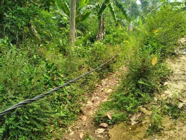 Kabel menjuntai menghalangi akses jalan di pemukiman warga Kampung Manirancang, Desa Nyalindung, Bandung Barat. Jumat (15/11/2024). Dok warga Nyalindung