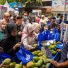 Petani Mangga di Bondowoso hasil pemberdayaan BRI