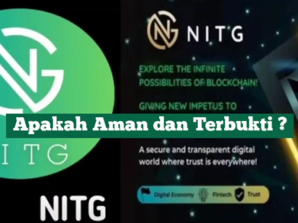 NITG Aplikasi Penghasil Uang, Apakah Terbukti Aman atau Penipuan Berkedok Investasi?