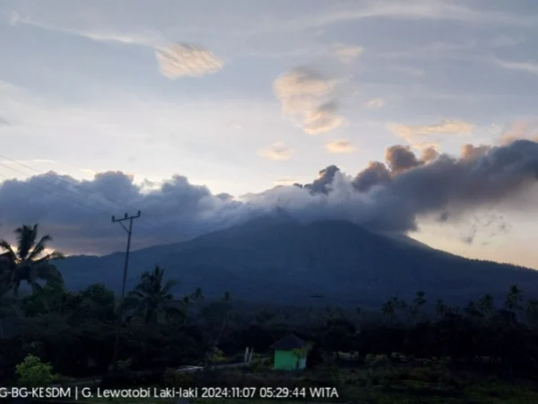 Pantauan aktivitas Gunung Lewotobi Laki-laki yang mengalami erupsi hingga 7 kali hari ini, Kamis (7/11/2024). (MAGMA ESDM)