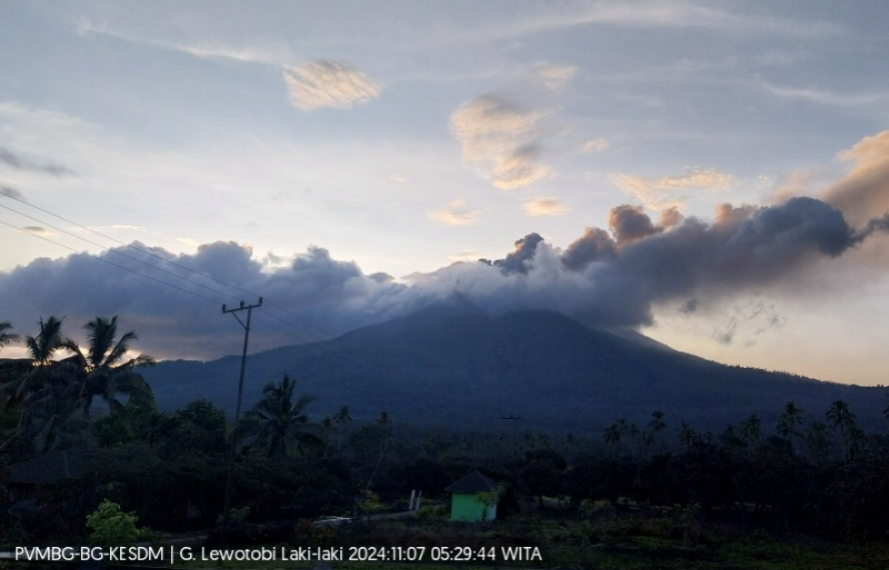 Pantauan aktivitas Gunung Lewotobi Laki-laki yang mengalami erupsi hingga 7 kali hari ini, Kamis (7/11/2024). (MAGMA ESDM)