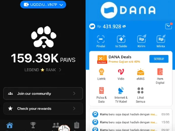 Begini Cara Dapat Saldo Gratis Dengan Main Paws Airdrop