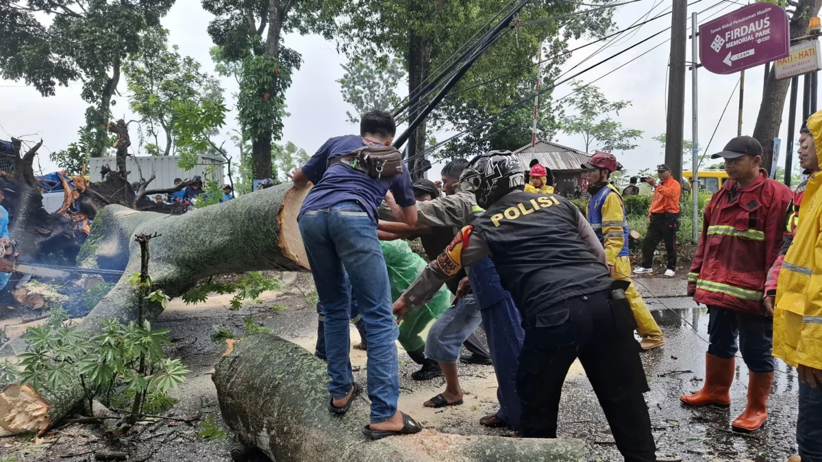 Petugas gabungan dibantu warga mengevakuasi pohon tumbang di Jalan Nasional Padalarang-Purwakarta, Kecamatan Cikalongwetan, Bandung Barat. Minggu (3/11). Dok petugas Kecamatan Cikalongwetan