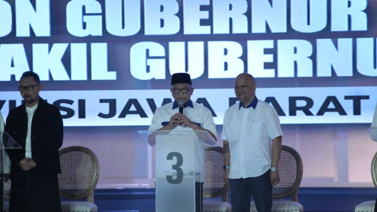 Pasangan Calon (Paslon) Ahmad Syaikhu - Ilham Akbar Habibie / soN