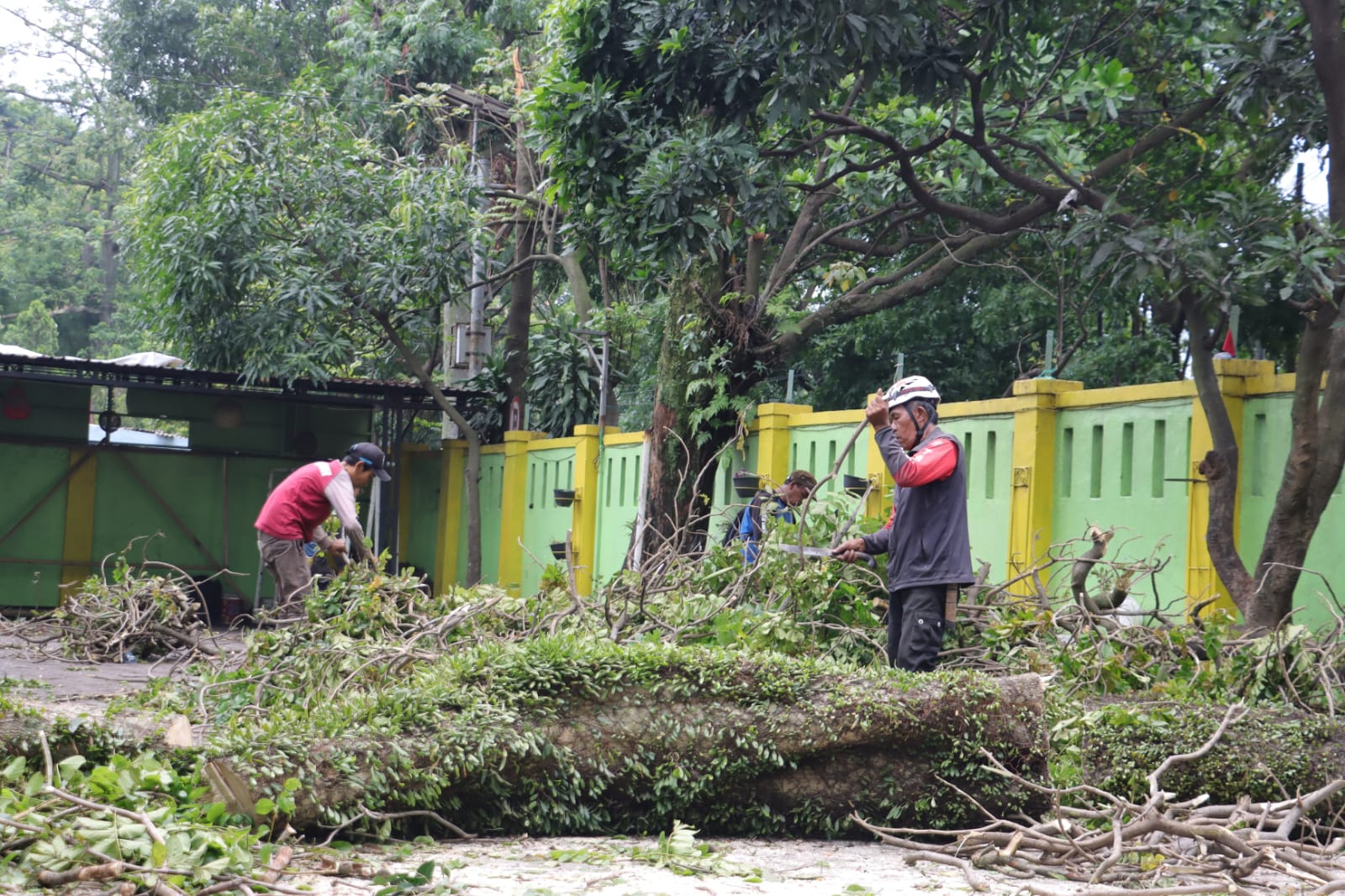 Beberapa Sekolah di Kota Cimahi alami kerusakan akibat pohon tumbang dan angin kencang